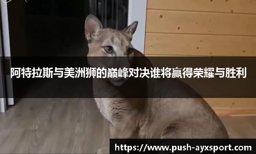 阿特拉斯与美洲狮的巅峰对决谁将赢得荣耀与胜利